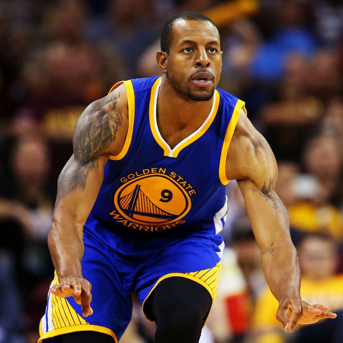 andre iguodala